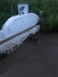 62587935_1266870753473177_311978044900245504_n